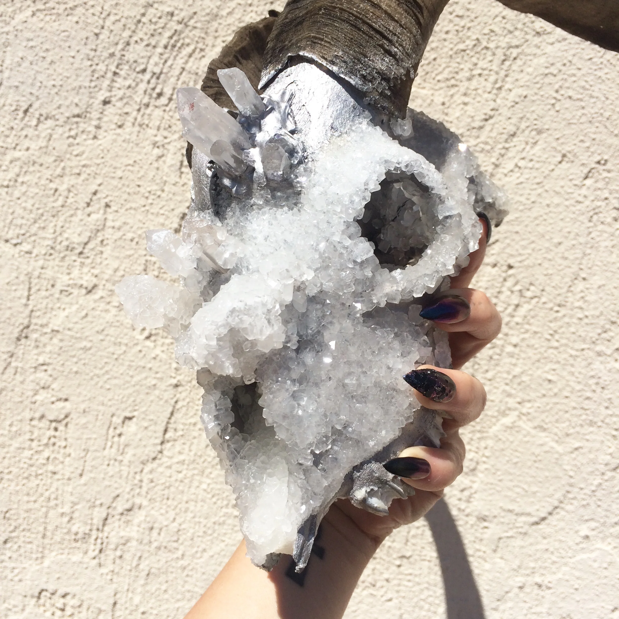 Silver Crystalized Goat Skull — Flight of Fancy Designs